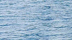 <div class="paragraphs"><p>ಪ್ರಾತಿನಿಧಿಕ ಚಿತ್ರ</p></div>