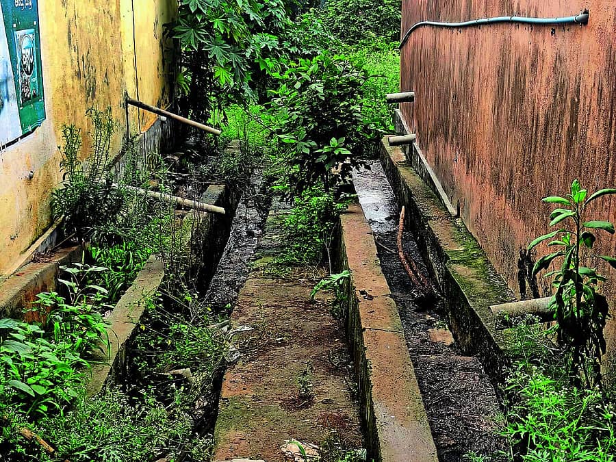 <div class="paragraphs"><p>ಸ್ವಚ್ಛತೆ ಇಲ್ಲದ ಕೋಳಿ ಅಂಗಡಿ ಮಳಿಗೆಗಳ ಚರಂಡಿ ವ್ಯವಸ್ಥೆ</p></div>