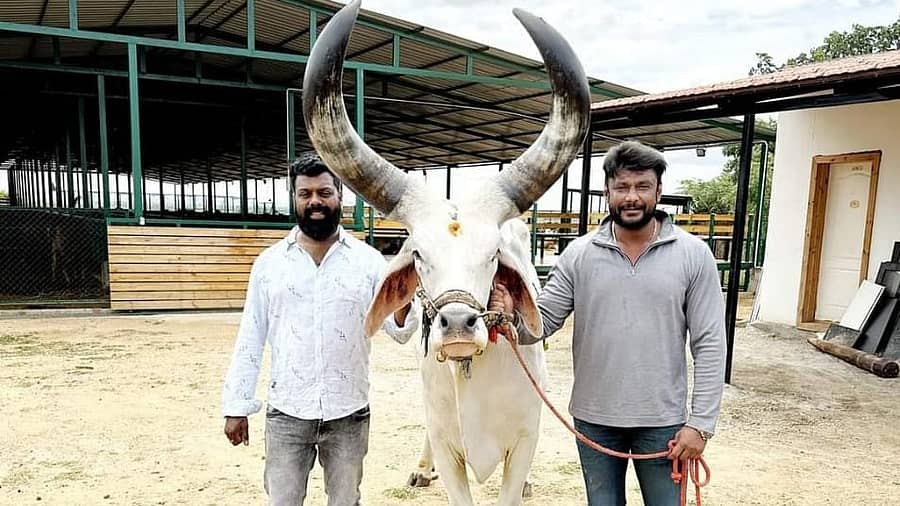 <div class="paragraphs"><p>ದರ್ಶನ್ ಜೊತೆ ನಾಗರಾಜ್</p></div>