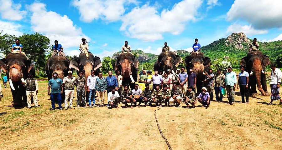 ಕನಕಪುರ ಹಲಸಿನ ಮರದೊಡ್ಡಿ ಗ್ರಾಮದಲ್ಲಿ ಕಾಡಾನೆಗಳನ್ನು ಓಡಿಸುವ ಸಾಕಿದ ಆನೆಗಳ ಶಿಬಿರಕ್ಕೆ ಜಿಲ್ಲಾಧಿಕಾರಿ ಅವಿನಾಶ್ ಮೆನನ್ ರಾಜೇಂದ್ರನ್ ಭೇಟಿ ನೀಡಿ ಪರಿಶೀಲನೆ ನಡೆಸಿದರು