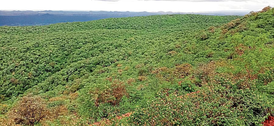 ಪ್ರಸ್ತಾವಿತ ಗಣಿಗಾರಿಕೆಗೆ ಗುರುತಿಸಲಾಗಿರುವ ಸಂಡೂರಿನ ರಾಮನಮಲೈ ಅರಣ್ಯ ಪ್ರದೇಶ