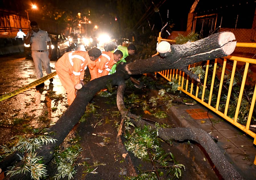 ನಗರದ ಮಾಗಡಿ ರಸ್ತೆಯ ಮೆಟ್ರೊ ನಿಲ್ದಾಣದ ಬಳಿ ಭಾನುವಾರ ಮರ ಬಿದ್ದಿದ್ದು, ಬಿಬಿಎಂಪಿ ಸಿಬ್ಬಂದಿ ತೆರವು ಕಾರ್ಯಾಚರಣೆ ನಡೆಸಿದರು. ಪ್ರಜಾವಾಣಿ ಚಿತ್ರ/ ಕಿಶೋರ್ ಕುಮಾರ್ ಬೋಳಾರ್