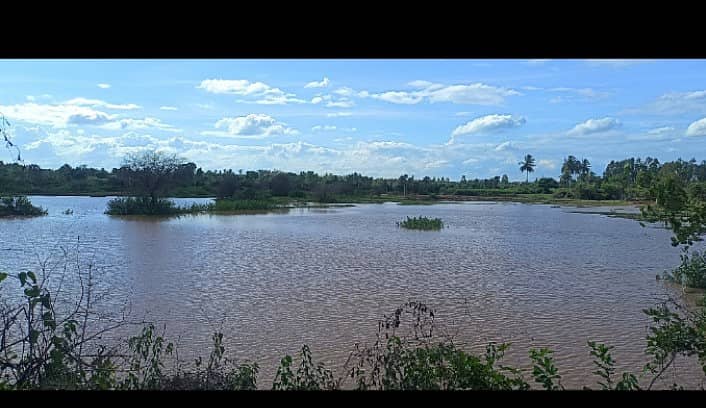 ಬತ್ತಿ ಹೋಗಿದ್ದ ಕೆಂಚುಗಾರನ ಕೆರೆ ಮಳೆಯಿಂದ ನೀರು ತುಂಬಿಕೊಂಡಿರುವುದು