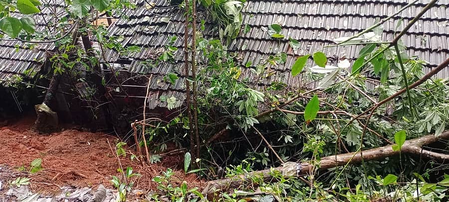 ಪುತ್ತೂರು ತಾಲ್ಲೂಕಿನ ಕೆದಂಬಾಡಿ ಗ್ರಾಮದ ಮಠ ಎಂಬಲ್ಲಿ ಕೋಳಿ ಸಾಕಾಣಿಕೆ ಕಟ್ಟಡ ಮೇಲೆ ಧರೆ ಕುಸಿದು 5 ಸಾವಿರಕ್ಕೂ ಹೆಚ್ಚು ಕೋಳಿಗಳು ಸತ್ತಿವೆ. ಕಟ್ಟಡಕ್ಕೂ ಹಾನಿಯಾಗಿದೆ