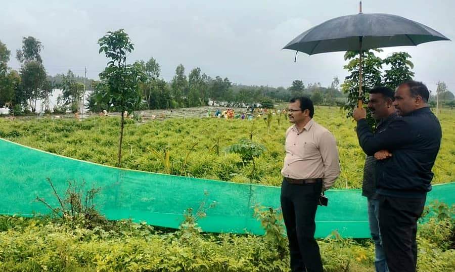 ಹುಣಸೂರು ತಾಲ್ಲೂಕಿನ ಹನಗೋಡು ಹೋಬಳಿ ಭಾಗದ ಲಕ್ಷ್ಮಣತೀರ್ಥ ನದಿ ಪಾತ್ರದಲ್ಲಿ ನೀರಿನಲ್ಲಿ ಮುಳುಗಿರುವ ಶುಂಠಿ ಬೆಳೆ ಕಠಾವು ಮಾಡುವ ಸ್ಥಳಕ್ಕೆ ಬುಧವಾರ ತಹಶೀಲ್ದಾರ್ ಎಂ.ಮಂಜುನಾಥ್ ಭೇಟಿ ನೀಡಿ ಪರಿಶೀಲಿಸಿದರು.