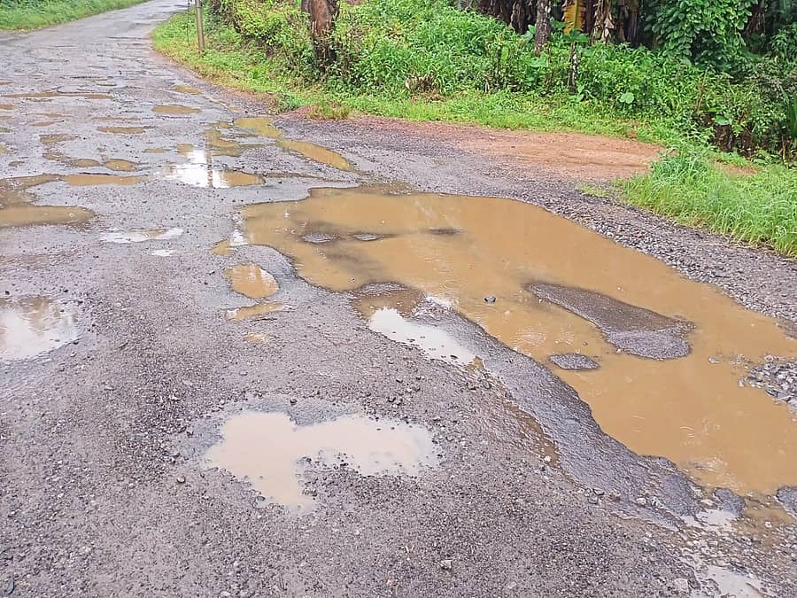 ನಾಪೋಕ್ಲು ಸಮೀಪದ ನೆಲಜಿ ಗ್ರಾಮದಲ್ಲಿ ರಸ್ತೆಯ ದುಸ್ಥಿತಿ
