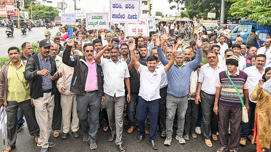 ಮೂಲಸೌಕರ್ಯ ಅನುಷ್ಠಾನಕ್ಕೆ ಆಗ್ರಹಿಸಿ ಮೈಸೂರು ಪೂರ್ವ ವಲಯ ಬಡಾವಣೆಗಳ ಒಕ್ಕೂಟದ ನೂರಾರು ನಿವಾಸಿಗಳು ಮೈಸೂರಿನ ಯರಗನಹಳ್ಳಿ ಬಡಾವಣೆಯಲ್ಲಿರುವ ಮೆಗಾ ಡೇರಿ ಮುಂಭಾಗದಿಂದ ಜಿಲ್ಲಾಧಿಕಾರಿ ಕಚೇರಿವರೆಗೆ ಸೋಮವಾರ ಪ್ರತಿಭಟನಾ ಮೆರವಣಿಗೆ ನಡೆಸಿದರು– ಪ್ರಜಾವಾಣಿ ಚಿತ್ರ