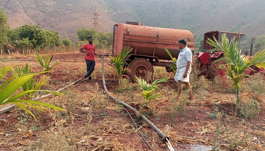 ಅಂತರ್ಜಲ ಕುಸಿತ ಕಾರಣಕ್ಕೆ ಕಳೆದ ಬೇಸಿಗೆಯಲ್ಲಿ ಸಂಡೂರು ಹೋಬಳಿ ನರಸಿಂಗಾಪುರ ಗ್ರಾಮದ ರೈತ ಭೀಮಪ್ಪ ತಮ್ಮ ಅಡಿಕೆ ತೋಟಕ್ಕೆ ಟ್ಯಾಂಕರ್ ಮೂಲಕ‌ ನೀರು ಹಾಯಿಸಿದ್ದರು 