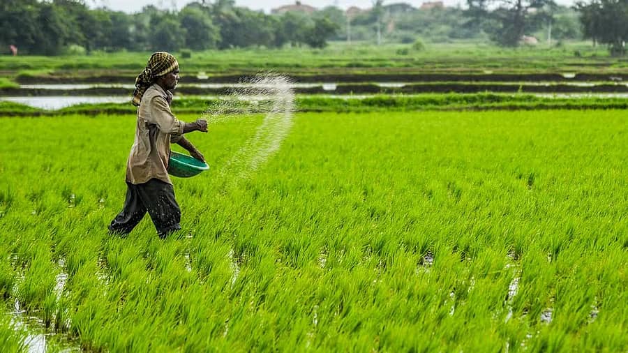 <div class="paragraphs"><p>ಸಾಂದರ್ಭಿಕ ಚಿತ್ರ</p></div>