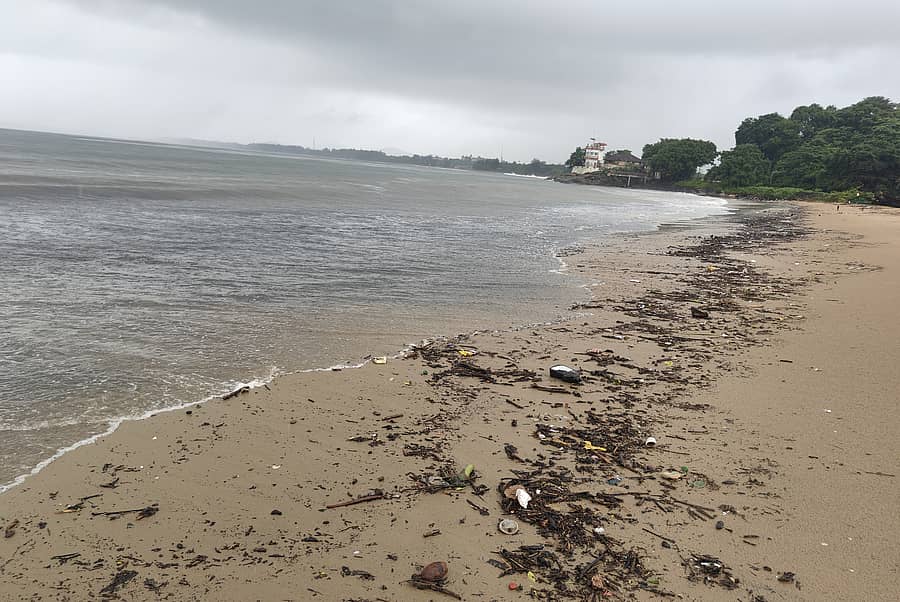 ಕಾರವಾರದ ಅಲಿಗದ್ದಾ ಕಡಲತೀರದಲ್ಲಿ ಕಸದ ರಾಶಿ ಬಿದ್ದಿರುವುದು