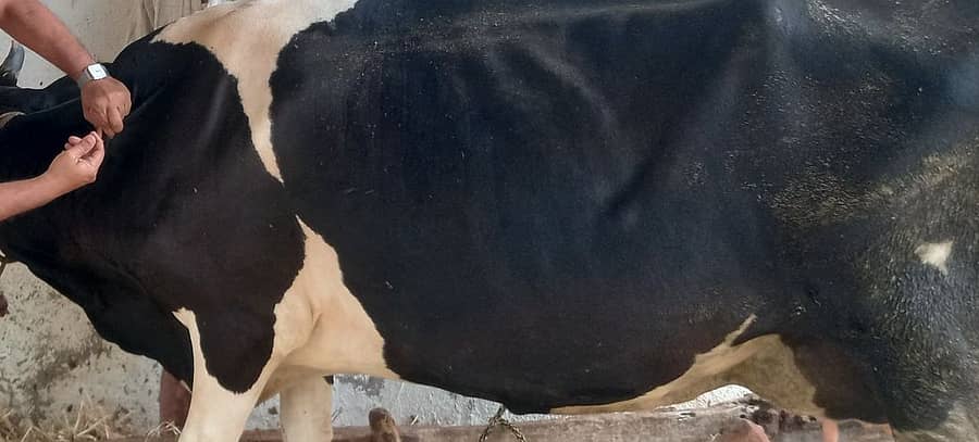 <div class="paragraphs"><p>ಸಂಗ್ರಹ ಚಿತ್ರ </p></div>