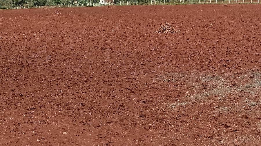 <div class="paragraphs"><p>ಜಮೀನು (ಸಾಂಕೇತಿಕ ಚಿತ್ರ )(</p></div>