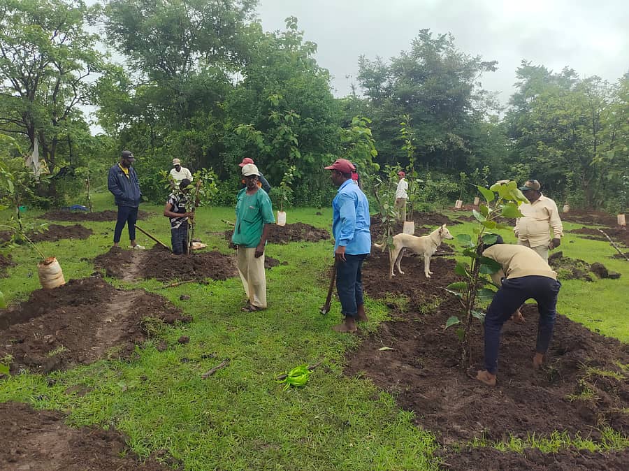 ನರೇಗಾ ಯೋಜನೆಯಡಿ ಮಮದಾಪುರ ಗ್ರಾಮದಲ್ಲಿ ದುಂಡಸಿ ಉಪವಲಯ ಅರಣ್ಯ ಇಲಾಖೆ ವತಿಯಿಂದ ಸಸಿ ನೆಡುತ್ತಿರುವ ಕಾರ್ಮಿಕರು