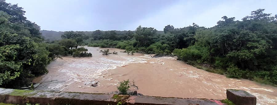 ಖಾನಾಪುರ ತಾಲ್ಲೂಕಿನ ಲೋಂಡಾ ಗ್ರಾಮದ ಬಳಿ ಬೆಳಗಾವಿ ಪಣಜಿ ರಾಷ್ಟ್ರೀಯ ಹೆದ್ದಾರಿಯ ಬದಿಯಿಂದ ಶುಕ್ರವಾರ ಗೋಚರಿಸಿದ ಪಾಂಡರಿ ನದಿಯಲ್ಲಿ ನೀರು ರಭಸದಿಂದ ಹರಿಯುತ್ತಿರುವ ದೃಶ್ಯ
