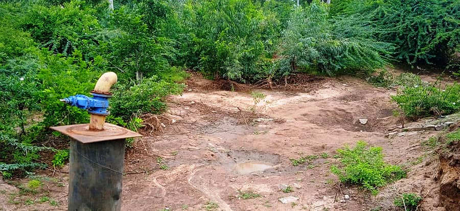 ಕುಷ್ಟಗಿ ತಾಲ್ಲೂಕು ಶಾಖಾಪುರ ಬಳಿಯ ಕೆರೆ ನೀರಿಲ್ಲದೆ ಭಣಡುತ್ತಿರುವುದು