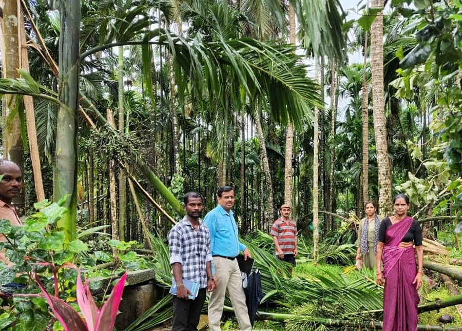 ಹೆಬ್ರಿ ತಾಲ್ಲೂಕು ವ್ಯಾಪ್ತಿಯಲ್ಲಿ ತೋಟಗಾರಿಕೆಗೆ ಸಂಬಂಧಿಸಿದ ಸುಮಾರು ೫ ಸಾವಿರಕ್ಕೂ ಹೆಚ್ಚು ಗಿಡ ಮರಗಳಿಗೆ ಹಾನಿಯಾಗಿದ್ದು ಕಾರ್ಕಳ ತೋಟಗಾರಿಕ ಇಲಾಖೆಯ ಸಹಾಯಕ ನಿರ್ದೇಶಕ ಶ್ರೀನಿವಾಸ್ ಕಬ್ಬಿನಾಲೆಯಲ್ಲಿ ಪರಿಶೀಲನೆ ನಡೆಸಿದರು.