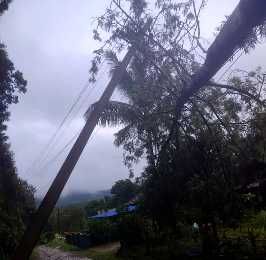 ಸೋಮವಾರಪೇಟೆ ಸಮೀಪದ ಕೋಟೆಯೂರು ಗ್ರಾಮದಲ್ಲಿ ವಿದ್ಯುತ್ ಮಾರ್ಗದ ಮೇಲೆ ಮರ ಉರುಳಿರುವುದು.