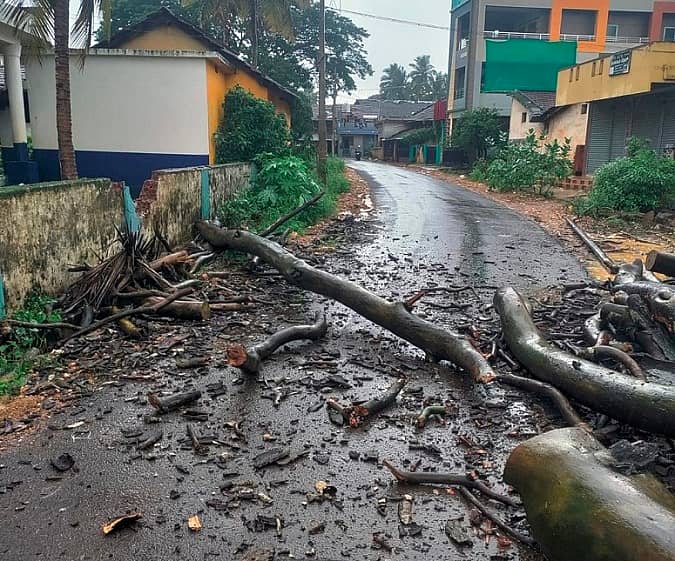 ಆನವಟ್ಟಿಯ ಸರ್ಕಾರಿ ಹೆಣ್ಣುಮಕ್ಕಳ ಶಾಲೆಯ ಮೇಲೆ ಬೃಹತ್ ಅರಳಿಮರದ ಕೊಂಬೆ ಬಿದ್ದಿರುವುದು