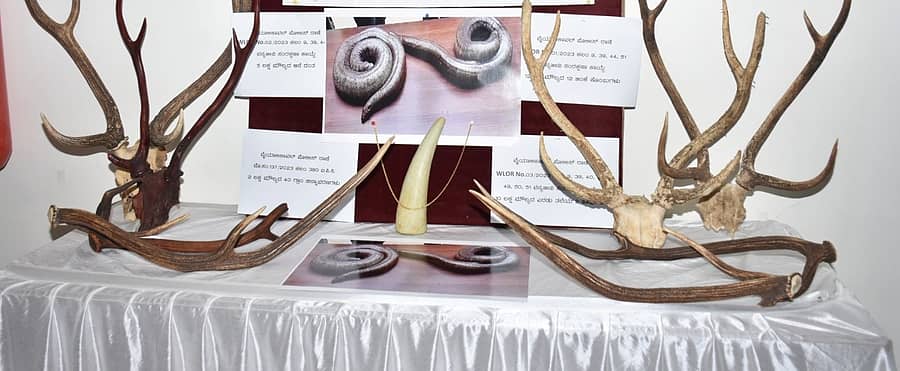 <div class="paragraphs"><p>ಸಂಗ್ರಹ ಚಿತ್ರ </p></div>