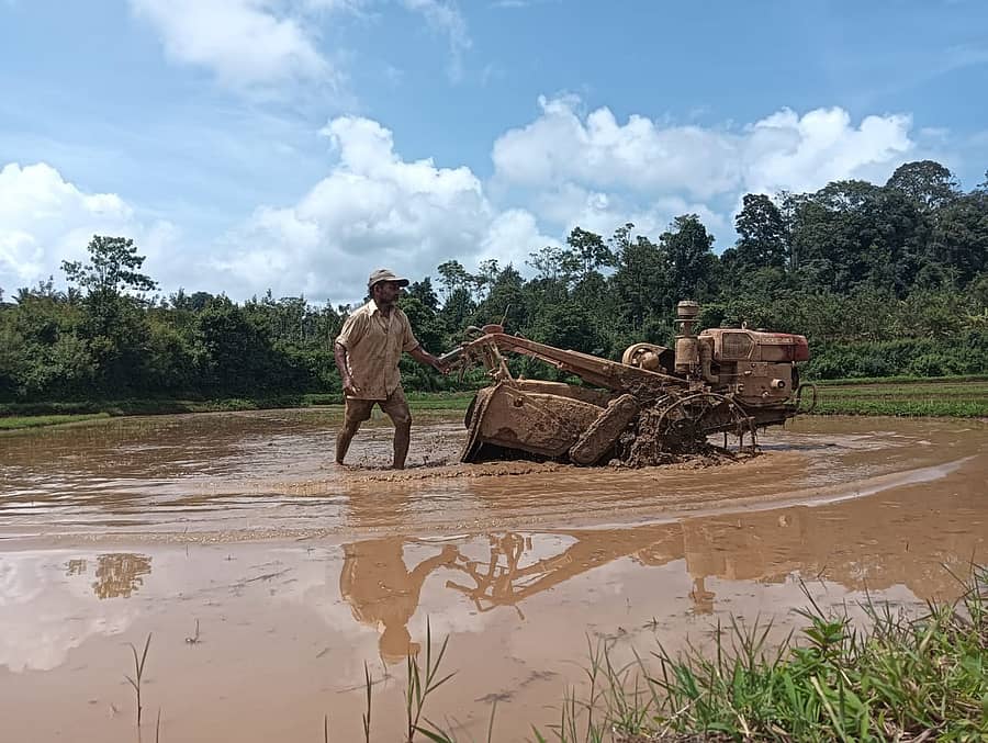 ನಾಪೋಕ್ಲು ಸಮೀಪದ ಬಲ್ಲಮಾವಟಿಯಲ್ಲಿ ಗದ್ದೆ ಉಳುಮೆ ಮಾಡುತ್ತಿರುವ ರೈತ