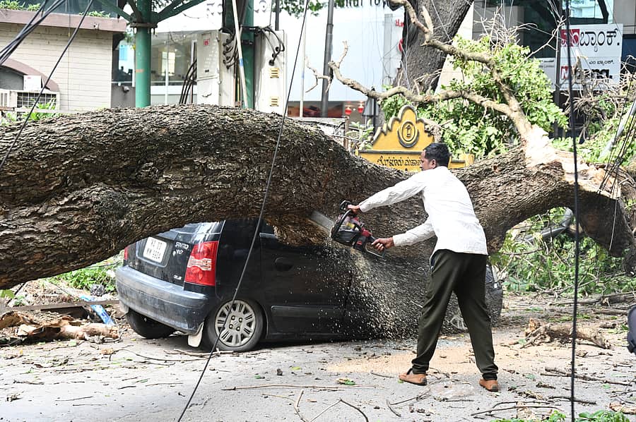 ಕನ್ನಿಂಗ್ ಹ್ಯಾಮ್ ರಸ್ತೆಯಲ್ಲಿ ಮರವೊಂದು ಕಾರು ಮೇಲೆ ಬಿದ್ದಿದ್ದು, ಬಳಿಕ ತೆರವು ಮಾಡಲಾಯಿತು –ಪ್ರಜಾವಾಣಿ ಚಿತ್ರ/ಕಿಶೋರ್ ಕುಮಾರ್ ಬೋಳಾರ್