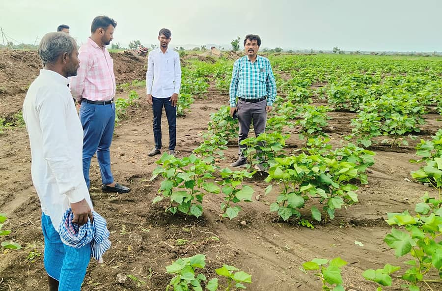 ಜಾಲಹಳ್ಳಿಗೆ ಸಮೀಪದ ಲಿಂಗದಹಳ್ಳಿ ಗ್ರಾಮಕ್ಕೆ ಮಂಗಳವಾರ ಜಿಲ್ಲಾ ಕೃಷಿ ಇಲಾಖೆ ಜಂಟಿ ನಿರ್ದೇಶಕ ಜಯಪ್ರಕಾಶ ರೈತರ ಜಮೀನುಗಳಿಗೆ ಭೇಟಿ ನೀಡಿ ಹತ್ತಿ ಬೆಳೆ ಪರಿಶೀಲನೆ ಮಾಡಿದರು