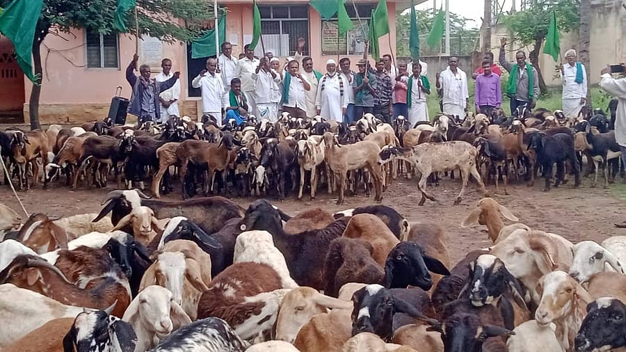 ಹಿರಿಯೂರು ತಾಲ್ಲೂಕಿನ ಜವನಗೊಂಡನಹಳ್ಳಿಯಲ್ಲಿ ನಡೆಸುತ್ತಿರುವ ಅನಿರ್ದಿಷ್ಟಾವಧಿ ಧರಣಿಯ 36ನೇ ದಿನವಾದ ಬುಧವಾರ ರೈತರು ನಾಡಕಚೇರಿ ಮುಂದೆ ಕುರಿ ಹಿಂಡು ತರುಬುವ ಮೂಲಕ ಪ್ರತಿಭಟನೆ ನಡೆಸಿದರು