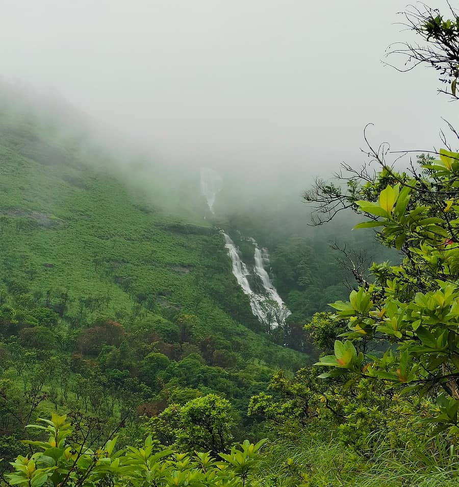 ಹಸಿರು ಶಿಖರದಲ್ಲಿ ನೀಲಕಂಡಿ ಜಲಪಾತ... ಮಡಿಕೇರಿ ತಾಲ್ಲೂಕಿನ ತಡಿಯಂಡಮೋಳ್ ಬೆಟ್ಟಸಾಲುಗಳಿಂದ ಸುಮಾರು 300 ಅಡಿ ಎತ್ತರದಿಂದ ನೀಲಕಂಡಿ ಜಲಪಾತ ಧುಮ್ಮಿಕ್ಕುತ್ತಿದ್ದು, ದೂರದಿಂದಲೇ ಬೆಳ್ನೊರೆಯಂತೆ ಹರಿಯುತ್ತಿರುವ ದೃಶ್ಯ ಕಂಡು ಬರುತ್ತಿದೆ ಪ್ರಜಾವಾಣಿ ಚಿತ್ರ/ಸಿ.ಎಸ್.ಸುರೇಶ್