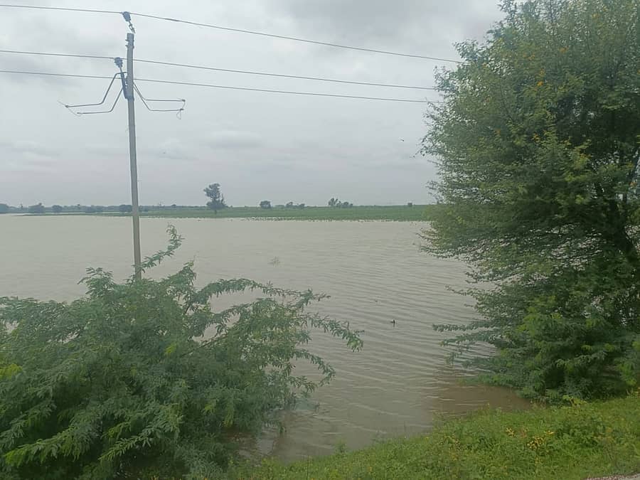 ಯಾದಗಿರಿ ಜಿಲ್ಲೆಯಲ್ಲಿ ಕೃಷ್ಣಾ ನದಿ ಪ್ರವಾಹದಿಂದ ವಡಗೇರಾ ತಾಲ್ಲೂಕಿನ ಗ್ರಾಮದ ಜಮೀನುಗಳು ಜಲಾವೃತವಾಗಿವೆ