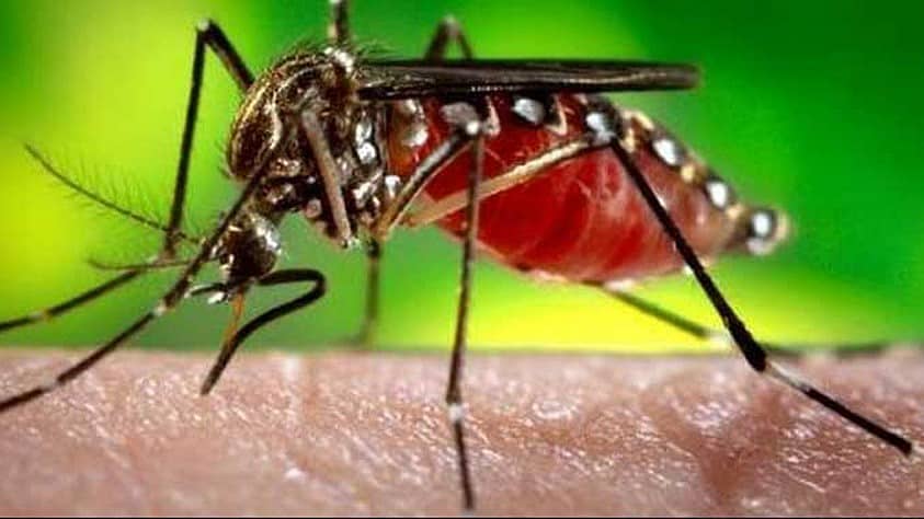 <div class="paragraphs"><p>ಸಾಂಕೇತಿಕ ಚಿತ್ರ </p></div>