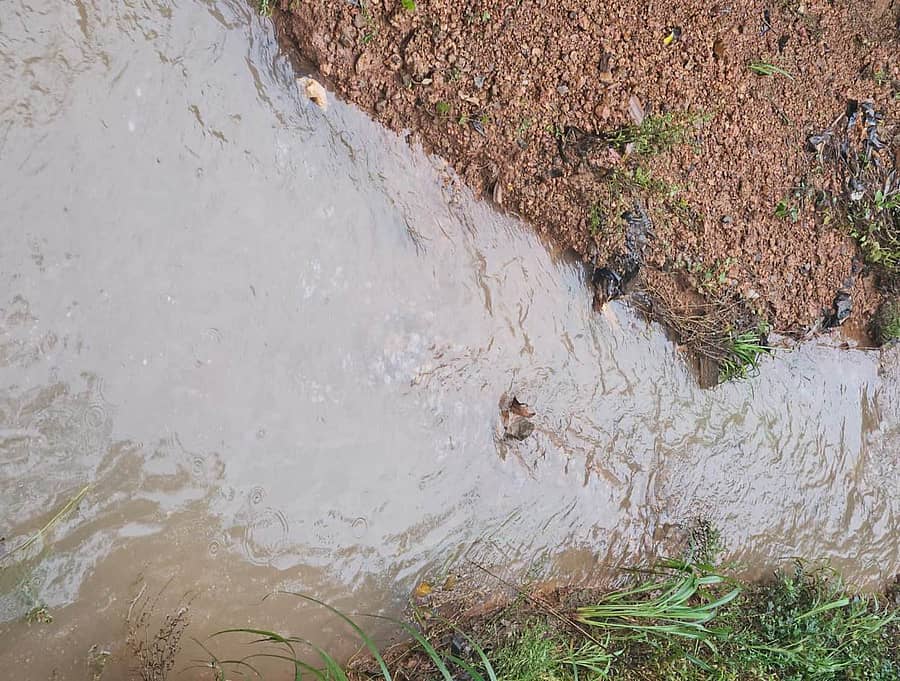 ನಂದಿಕೂರು ಬಳಿ ಸ್ಥಾಪನೆಯಾಗಿರುವ ಬಯೋ ಡೀಸೆಲ್ ತಾಳೆ ಎಣ್ಣೆ ತಯಾರಿಕಾ ಘಟಕದಿಂದ ಪಾದೆಬೆಟ್ಟು ಗ್ರಾಮದಲ್ಲಿ ಹರಿಯುವ ತೋಡಿನಲ್ಲಿ ಮಳೆ ನೀರಿನೊಂದಿಗೆ ಹರಿದ ಎಣ್ಣೆ ಮಿಶ್ರಿತ ನೀರು.