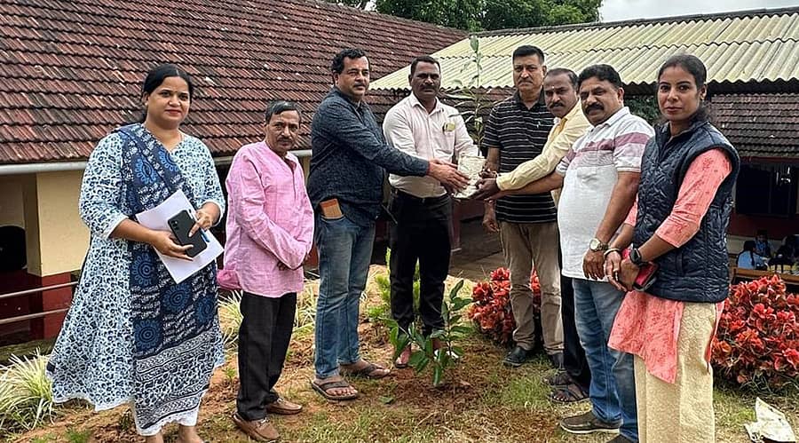 ಗೋಣಿಕೊಪ್ಪಲು ಸರ್ಕಾರಿ ಹಿರಿಯ ಪ್ರಾಥಮಿಕಶಾಲೆ ಆವರಣದಲ್ಲಿ ಟಿ.ಎಲ್.ಶ್ರೀನಿವಾಸ್, ಶ್ರೀಧರ್ ನೆಲ್ಲಿತ್ತಾಯ, ಕುಮಾರ್ ಗಿಡನೆಟ್ಟರು.