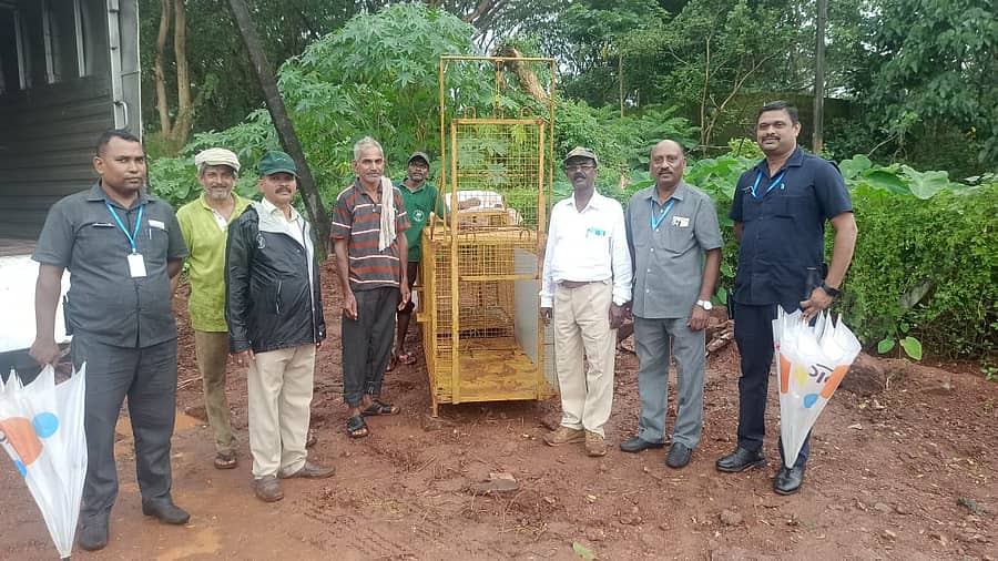 ಮಣಿಪಾಲದ ಎಂಡ್‌ ಪಾಯಿಂಟ್‌ ಬಳಿ ಚಿರತೆ ಸೆರೆಗೆ ಬೋನು ಇರಿಸಲಾಯಿತು