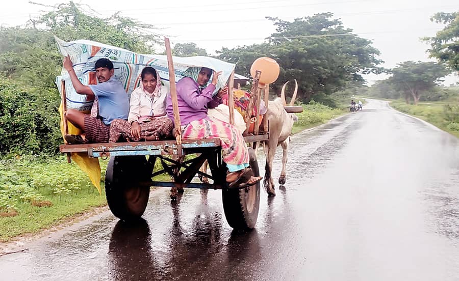 ವಿಜಯನಗರ ಜಿಲ್ಲೆ ಹರಪನಹಳ್ಳಿ ತಾಲ್ಲೂಕು ದೇವರ ತಿಮ್ಮಲಾಪುರ ಗ್ರಾಮದ ರೈತರು ಮಳೆಯಿಂದಾಗಿ ಎತ್ತಿನ ಬಂಡಿಯಲ್ಲಿ ಮನೆಗೆ ಹಿಂತಿರುಗಿದ್ದು ಹೀಗೆ –ಪ್ರಜಾವಾಣಿ ಚಿತ್ರ / ವಿಶ್ವನಾಥ ಡಿ.