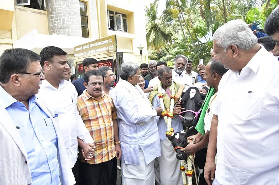 ಒಂದು ಕೋಟಿ ಲೀಟರ್ ಹಾಲು ಸಂಗ್ರಹದ ಸಂಭ್ರಮಾಚರಣೆಯ ಅಂಗವಾಗಿ ಮುಖ್ಯಮಂತ್ರಿ ಸಿದ್ದರಾಮಯ್ಯ ಅವರು ಮಂಗಳವಾ ಗೋ ಪೂಜೆ ಸಲ್ಲಿಸಿದರು. ಸಹಕಾರ ಸಚಿವ ಕೆ.ಎನ್. ರಾಜಣ್ಣ, ಕೆಎಂಎಫ್ ಅಧ್ಯಕ್ಷ ಭೀಮಾ ನಾಯ್ಕ, ವಸತಿ ಸಚಿವ ಬಿ.ಜೆಡ್. ಜಮೀರ್ ಅಹಮದ್ ಖಾನ್, ಪಶು ಸಂಗೋಪನೆ ಸಚಿವ ಕೆ. ವೆಂಕಟೇಶ್ ಇದ್ದರು.