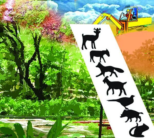 <div class="paragraphs"><p> ಪರಿಸರ</p></div>