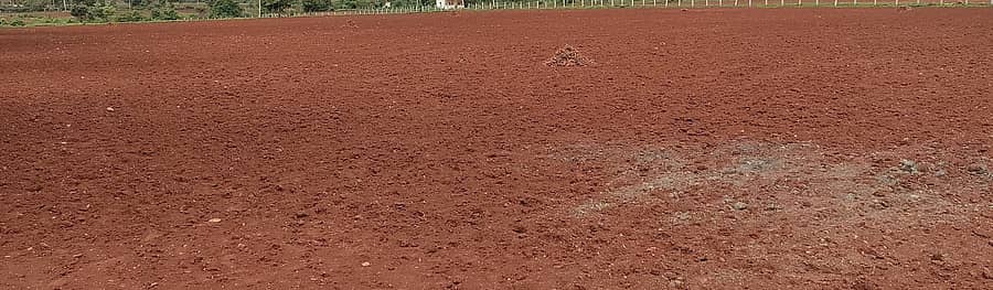 <div class="paragraphs"><p>ಜಮೀನು (ಸಾಂಕೇತಿಕ ಚಿತ್ರ )(</p></div>