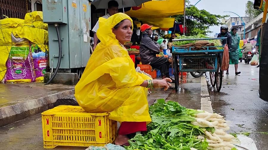 <div class="paragraphs"><p>ದಾವಣಗೆರೆಯ ಕೆ.ಆರ್‌. ಮಾರುಕಟ್ಟೆಯಲ್ಲಿ ತುಂತುರು ಮಳೆಯಲ್ಲೇ ಮಹಿಳೆಯೊಬ್ಬರು ರೇನ್‌ಕೋಟ್‌ ಧರಿಸಿ ಮೂಲಂಗಿ ಮಾರಾಟದಲ್ಲಿ ತೊಡಗಿದ್ದರು.</p></div>