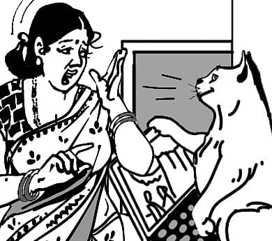 Churumuri----15072024