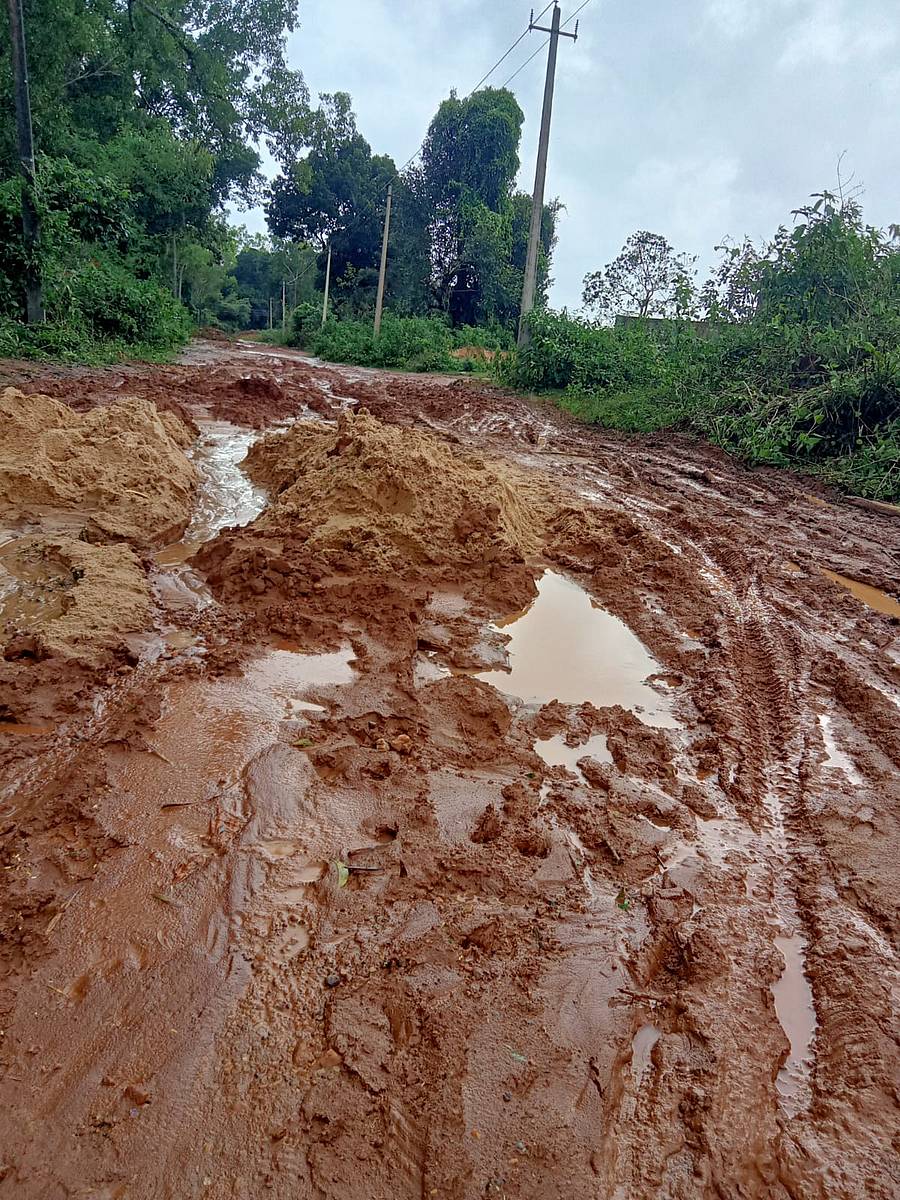 ಹೊಸನಗರ ಪಟ್ಟಣದ ಆಶ್ರಯ ಕಾಲೋನಿಯಲ್ಲಿನ ರಸ್ತೆ ಕೆಸರು ಗದ್ದೆಯಾಗಿರುವುದು