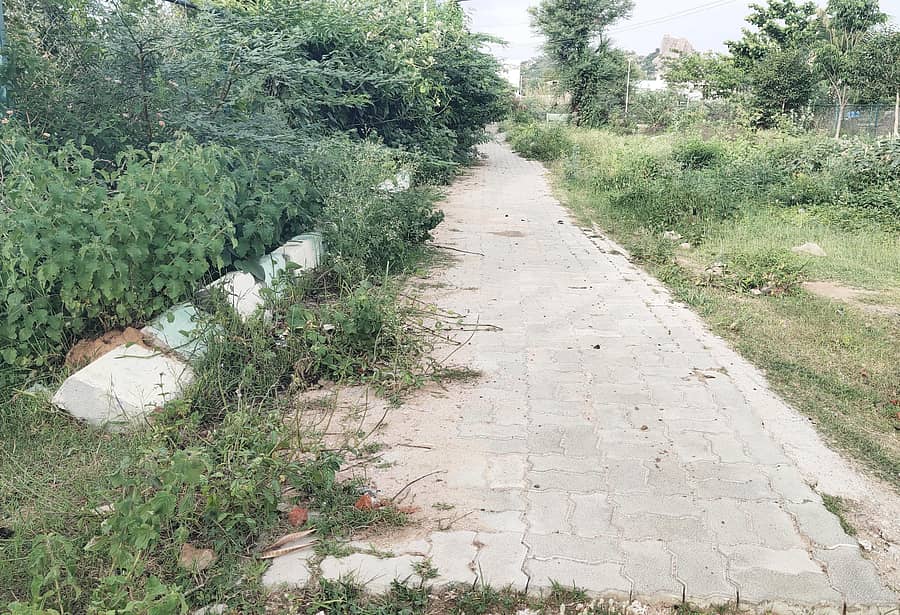 ಬಾಗೇಪಲ್ಲಿ ರೆಡ್ಡಿಕೆರೆ ಉದ್ಯಾನ ಸೂಕ್ತ ನಿರ್ವಹಣೆ ಇಲ್ಲದಿರುವುದು