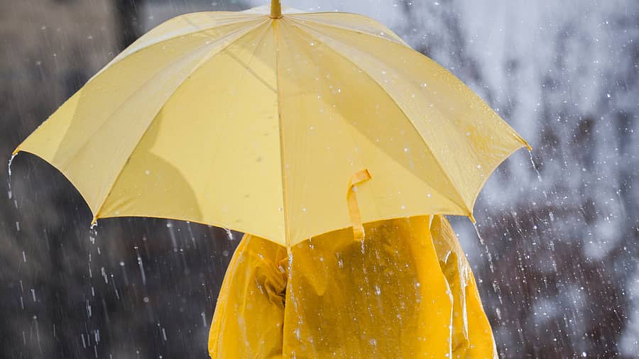 <div class="paragraphs"><p>ಪ್ರಾತಿನಿಧಿಕ ಚಿತ್ರ</p></div>