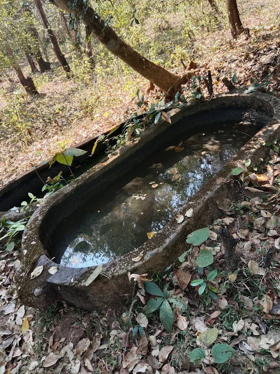 ಶಿರಸಿಯ ಸೋಂದಾ ಸಮೀಪದ ಕೋಟೆಯಲ್ಲಿರುವ ಕಲ್ಲು ದೋಣಿ