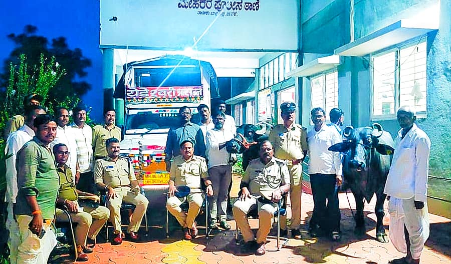 ಭಾಲ್ಕಿ ತಾಲ್ಲೂಕಿನ ಮೆಹಕರ ಪೊಲೀಸ್ ಠಾಣೆಯಲ್ಲಿ ಬುಧವಾರ ಕಳುವಾಗಿದ್ದ ಎಮ್ಮೆಗಳನ್ನು ರೈತರಿಗೆ ಒಪ್ಪಿಸಲಾಯಿತು