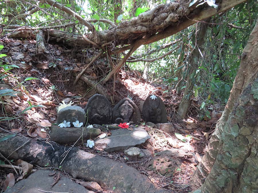 ಉಡುಪಿ ಜಿಲ್ಲೆಯ ಕೊಕ್ಕರ್ಣೆಯಲ್ಲಿರುವ ನಾಗಬನ