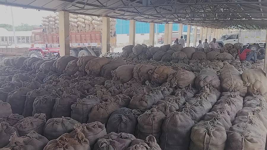 ಚನ್ನರಾಯಪಟ್ಟಣ ಖರೀದಿ ಕೇಂದ್ರದಲ್ಲಿ ಸಂಗ್ರಹಿಸಿ ಇಟ್ಟಿರುವ ಕೊಬ್ಬರಿ ಮೂಟೆಗಳು