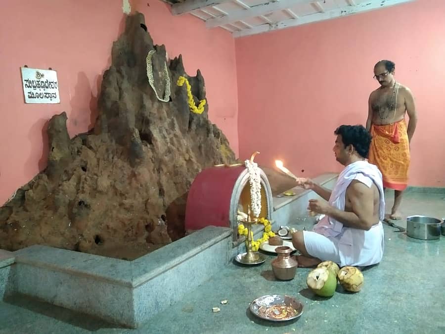 ನಾಳ ದುರ್ಗಾಪರಮೇಶ್ವರಿ ದೇವಸ್ಥಾನದ ನಾಗಬನದಲ್ಲಿ ನಾಗರ ಪಂಚಮಿ ಪ್ರಯುಕ್ತ ವಿಶೇಷ ಪೂಜೆ ನಡೆಯಿತು
