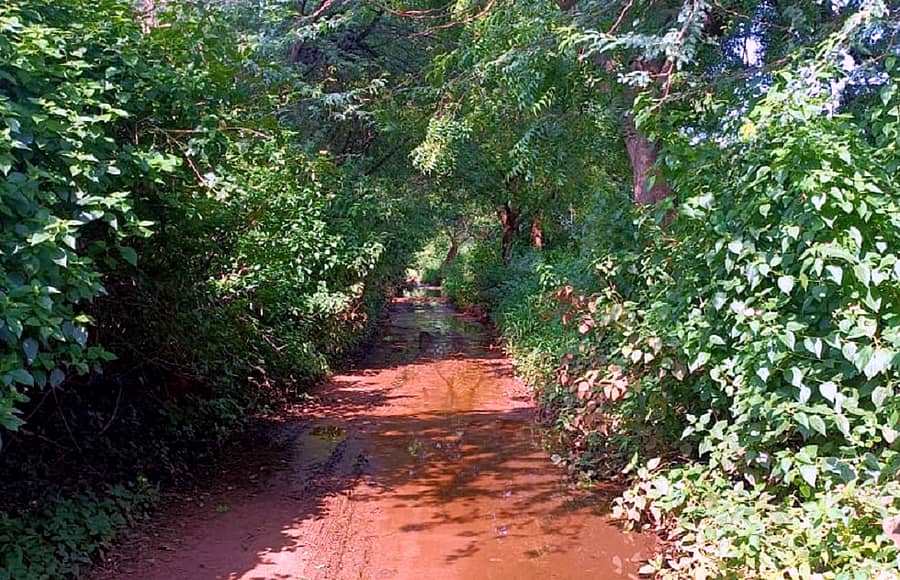 ಬಸವಕಲ್ಯಾಣ ತಾಲ್ಲೂಕಿನ ನೀಲಕಂಠ ಗ್ರಾಮದ ರಸ್ತೆ ಮೊದಲು ಇಕ್ಕಟ್ಟಾಗಿತ್ತಲ್ಲದೆ ಇಲ್ಲಿಂದ ನೀರು ಹರಿಯುತಿತ್ತು