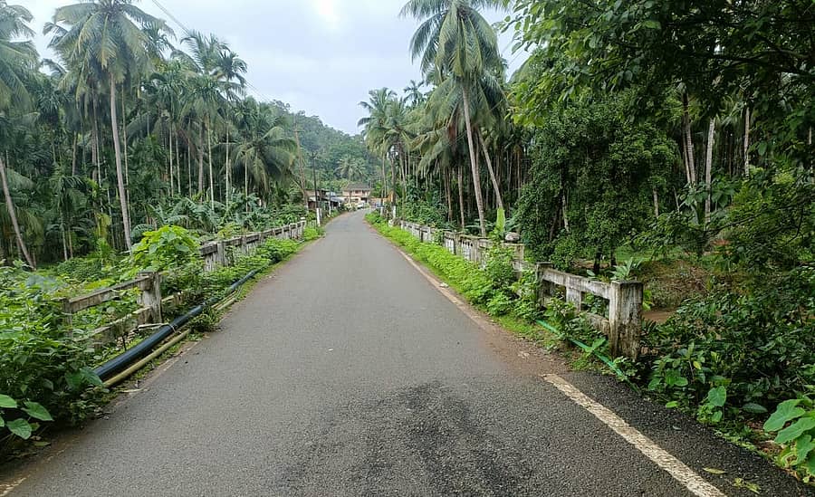 ಅಂಕೋಲಾ ತಾಲ್ಲೂಕಿನ ಚನಗಾರದಲ್ಲಿರುವ ಹಳೆಯ ಸೇತುವೆಯ ಕಂಬಗಳ ಬಳಿ ಗಿಡಗಂಟಿಗಳು ಬೆಳೆದಿವೆ