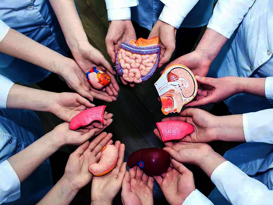 ಪ್ರಾತಿನಿಧಿಕ ಚಿತ್ರ